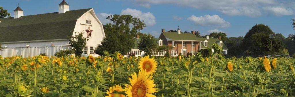 The beauty of our Eastern Shore Bed and Breakfast is one of the many reasons we consider it one of the best places to stay in Maryland