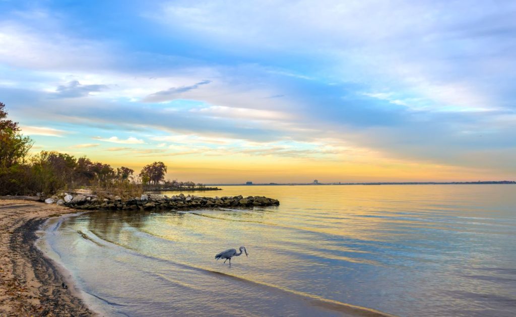 sunset on chesapeake bay