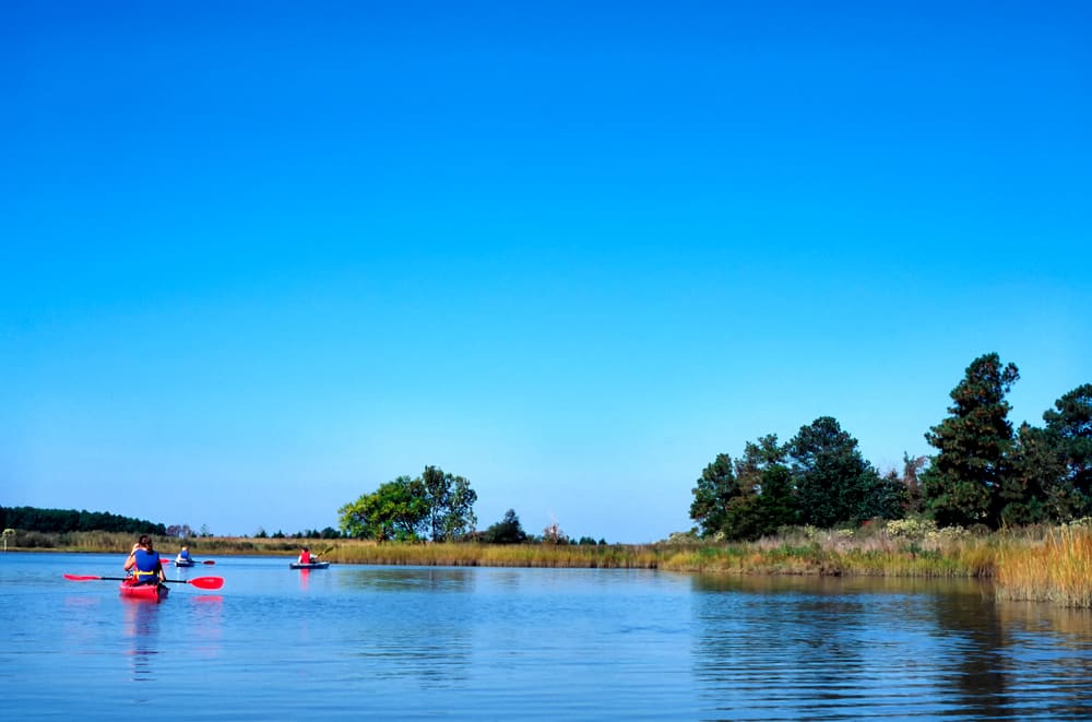 Find Some Great Kayaking on the Eastern Shore This Summer 1 Gorgeous views while enjoying the best Chesapeake Bay Kayaking this summer