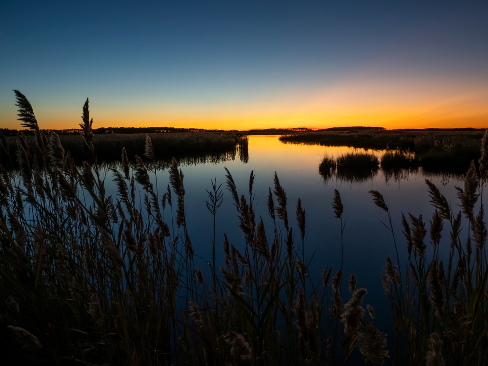 Gorgeous scenery on the banks of the Chesapeake Bay - enjoying the natural beauty is one of the best things to do on the Eastern Shore of Maryland