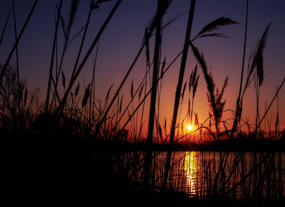 Relax and soak up the scenery while you enjoy these fun things to do in Rock Hall MD This Fall