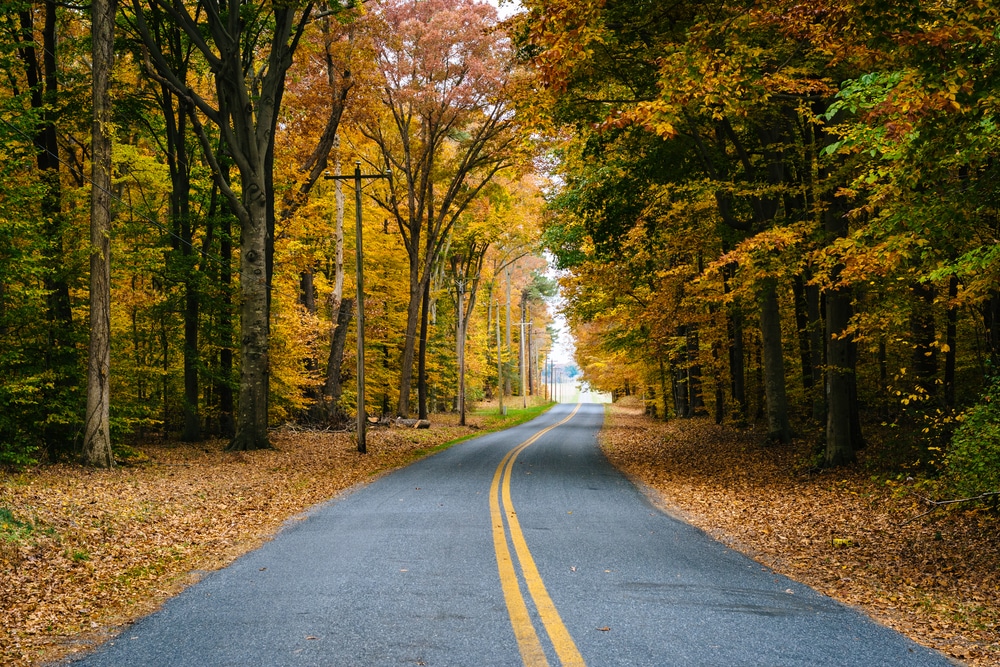 Plan the Perfect Chesapeake Bay Getaway This Fall 2 Enjoying fall foliage is one of the many things to do in the Eastern Shore of Maryland during your Chesapeake Bay Getaway this fall
