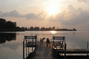 Capture Beauty at the Best Photography Spots on the Maryland Eastern Shore 2 inn dock
